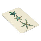 Magnet Flexible Poisson triplé aquamarine (Côté Droit)