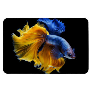 Magnet Flexible Poisson tropical