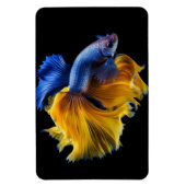 Magnet Flexible Poisson tropical (Vertical)