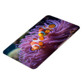 Magnet Flexible Poisson tropical  (Côté Gauche)