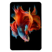 Magnet Flexible Poisson tropical (Vertical)