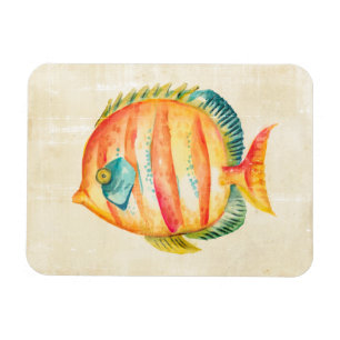 Magnet Flexible Poissons colorés d'aquarium