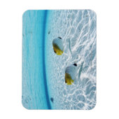 Magnet Flexible Poissons en mer 2 (Vertical)