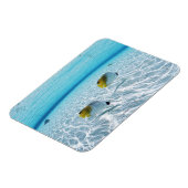 Magnet Flexible Poissons en mer 2 (Côté Gauche)