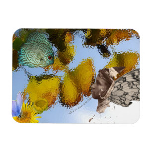 Magnet Flexible Poissons et aimant de Faery