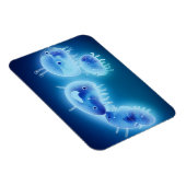 Magnet Flexible Poissons gelés 2013 (Côté Droit)