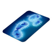 Magnet Flexible Poissons gelés 2013 (Côté Gauche)