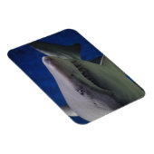 Magnet Flexible Poitrine De Requin, Nage De Requin, Visage Gros Pl (Côté Droit)