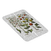 Magnet Flexible Poivrons 4 (Côté Droit)