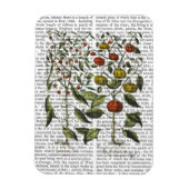 Magnet Flexible Poivrons 4 (Vertical)