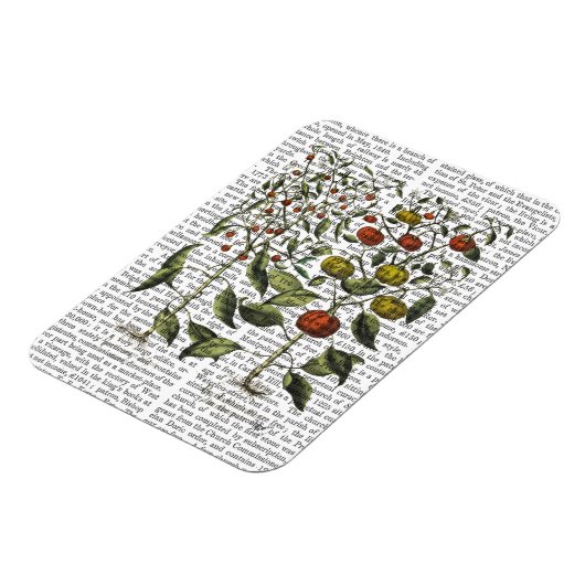 Magnet Flexible Poivrons 4 (Côté Gauche)