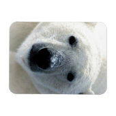 Magnet Flexible Polar Bear (Horizontal)