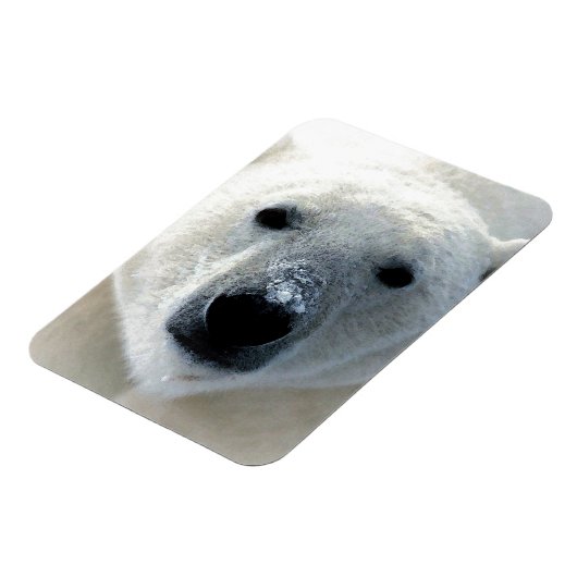 Magnet Flexible Polar Bear (Côté Gauche)