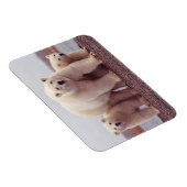 Magnet Flexible Polar Bear Family Cute Photo (Côté Droit)