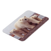 Magnet Flexible Polar Bear Family Cute Photo (Côté Gauche)
