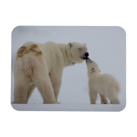 Magnet Flexible Polar Bear Mother with Cub (Horizontal)