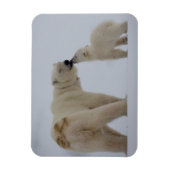 Magnet Flexible Polar Bear Mother with Cub (Vertical)