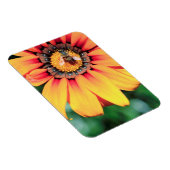 Magnet Flexible Pollen de close-up extrême de A Bee Collecting (Côté Droit)