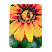 Magnet Flexible Pollen de close-up extrême de A Bee Collecting (Vertical)