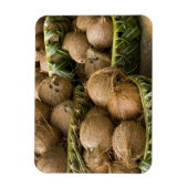 Magnet Flexible Polynésie, Royaume des Tonga. Affichage des noix d (Vertical)