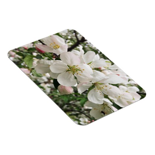 Magnet Flexible Pomme de feu (Côté Droit)