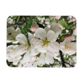 Magnet Flexible Pomme de feu (Horizontal)