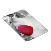 Magnet Flexible Pomme en forme de coeur rouge dramatique (Côté Droit)