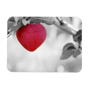 Magnet Flexible Pomme en forme de coeur rouge dramatique