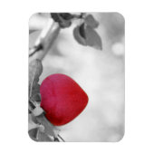 Magnet Flexible Pomme en forme de coeur rouge dramatique (Vertical)