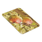 MAGNET FLEXIBLE POMMES (Côté Droit)