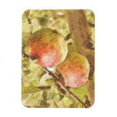 MAGNET FLEXIBLE POMMES (Vertical)