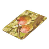 MAGNET FLEXIBLE POMMES (Côté Gauche)