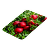 Magnet Flexible Pommes rouges lumineuses (Côté Gauche)