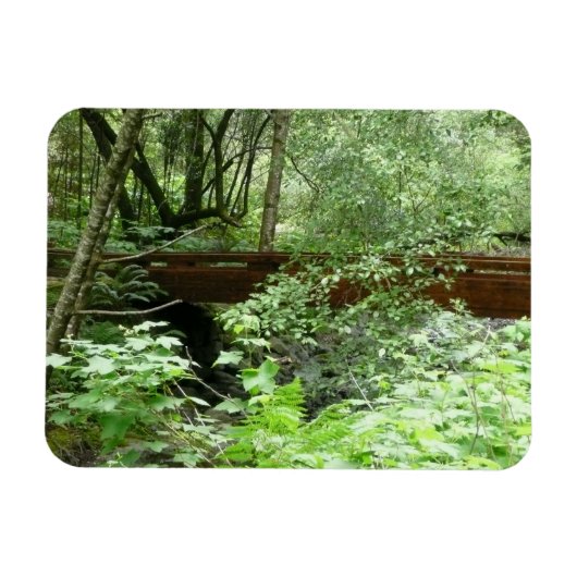 Magnet Flexible Pont de Muir Woods I (Horizontal)