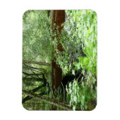 Magnet Flexible Pont de Muir Woods I (Vertical)