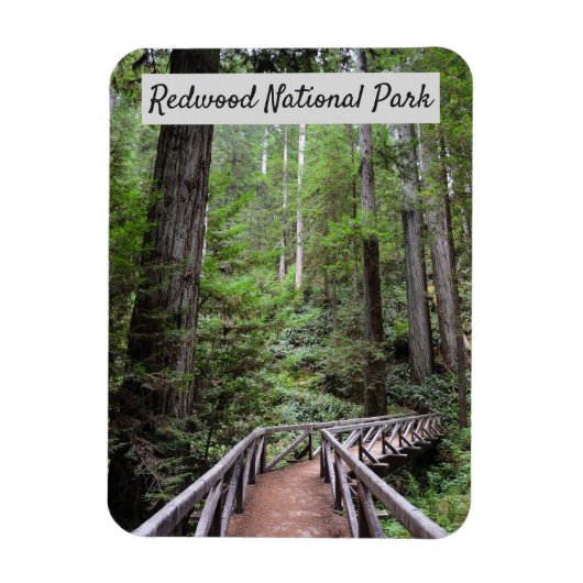 Magnet Flexible Pont en bois et Sequoias | Parc national de Redwoo (Vertical)