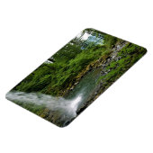 Magnet Flexible Ponytail Falls, Oregon (Côté Gauche)