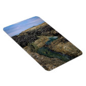 Magnet Flexible Pools à marée à Bob Creek, OU (Côté Droit)