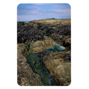 Magnet Flexible Pools à marée à Bob Creek, OU