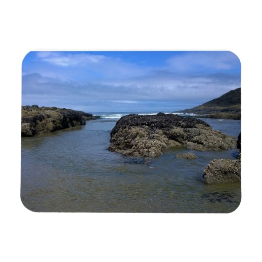 Magnet Flexible Pools à marée à Bob Creek, OU (Horizontal)