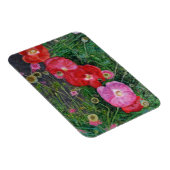 Magnet Flexible Poppies 2009 (Côté Droit)