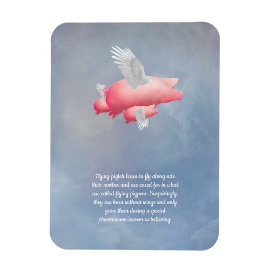 Magnet Flexible Porcelets volants (Vertical)