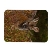 Magnet Flexible Portefeuille à col rouge (Horizontal)