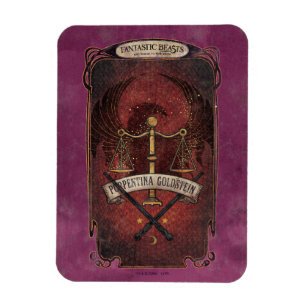 Magnet Flexible PORTENTINA GOLDSTEIN™ MACUSA™ Graphique