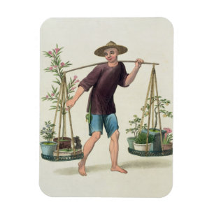 Magnet Flexible Porter avec Fruits et Fleurs, assiette 16 fr