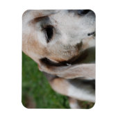 Magnet Flexible Portrait (Vertical)