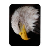 Magnet Flexible Portrait d'aigle (Vertical)