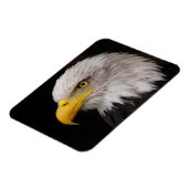 Magnet Flexible Portrait d'aigle (Côté Gauche)