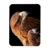 Magnet Flexible Portrait d'aigle isolé sur noir (Vertical)