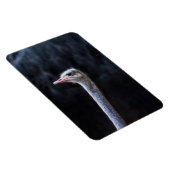 Magnet Flexible portrait d'autruche (Côté Droit)